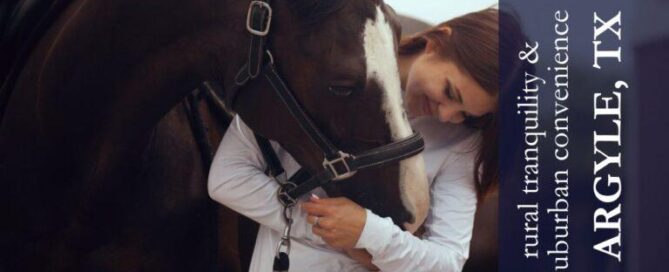 young woman in a white shirt and jeans petting a brown and white horse